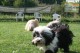 Thumbs/tn_Bild-01 028.jpg